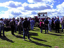 Vanderkolk Auction and Appraisal conducting a farm equipment auction in McBain, Michigan