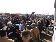 Conducting a simulcast auction in Big Rapids, Michigan
