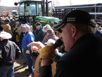 On the third week of March each year the Voelker Spring Consignment auction is held in Big Rapids, Michigan multiple rings and auctioneers all d